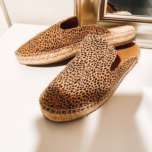 Cheetah slides